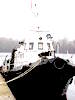 Tug project 1710, a former pilot boat