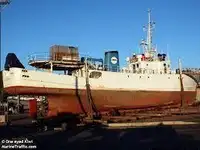 Workboat/Expedition Ship/Charter Boat