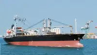 FOR SALE: 7,900 DWT Tween-Decker General Cargo 2002 Japan Built | CM1169