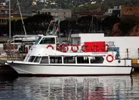 1987 Commercial Snorkelling Day Cruiser Fishing Boat