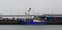 SHRIMP TRAWLER