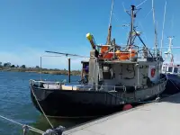 CARGO,  TUNA TROLLER, LONG LINER, ISLAND TRADER,  FISHING.  WORK BOAT