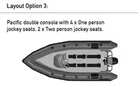 NEW BUILD - Ribcraft 6.8 Pro